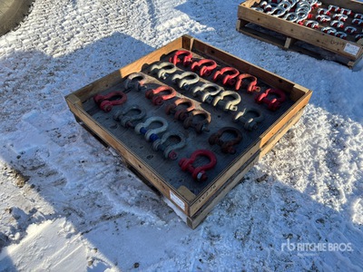 Quantity of Crosby Schäkel