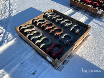 Quantity of Crosby Schäkel