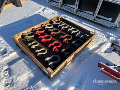 Quantity of Crosby Schäkel