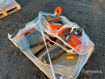 Quantity of (2) Hoist Chains