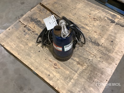 Tsurumi LB3-750 submerged pump Pompe à eau submersible électrique