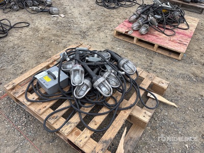 Quantity of (8) 2023 Lind TLS-80XPLEDDRE Luces de trabajo