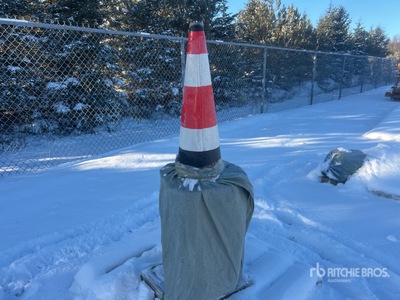 Quantity of (20) 15 in x 27 in Fluorescent プレッシャーウォッシャー (Unused)