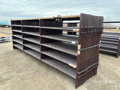 Quantity of (21) 2025 BYT HDALYPNL16 16 ft Alley Recinto per bestiame (Unused)