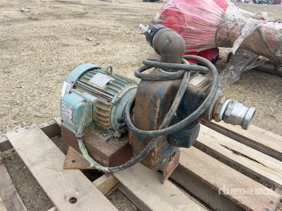 Yellow Dog W/ Electric Motor