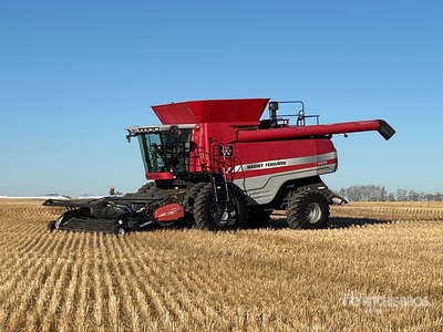 2009 Massey Ferguson 9895 コンバイン