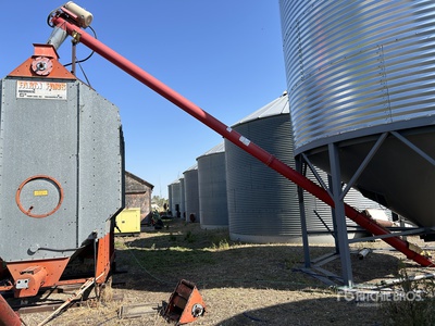 Vis sans fin à grain