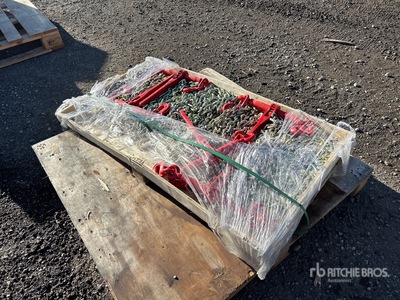 Greatbear Ratchet Binder and Chain (Unused)