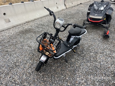Electric Scooter