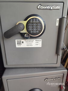 Sentry SFW123GDC Safe