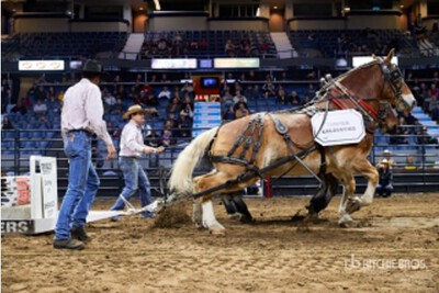 Ryan & Cheryl Ewen - Manor, SK (Leroy & Boozer)