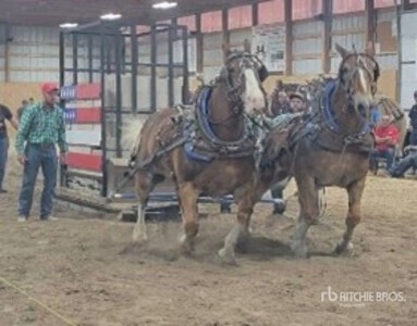 Fastlane Farms - Ferndale, WA (Jack & Nickel)