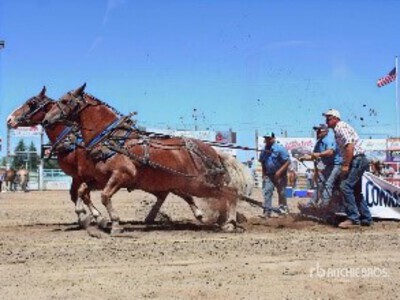 Fastlane Farms - Ferndale, WA (Trump & Charlie)