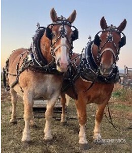 Jeff Downey - Moose Jaw, SK (Rock & Herb)