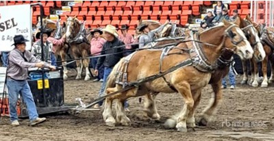 Norm Vertefeuille & Kim Hewalo - Lumsden, SK (Bud & Spike)