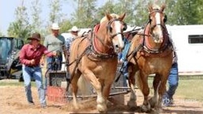 Ryan Pilbeam - Regina, SK (Rogue & Stormy)