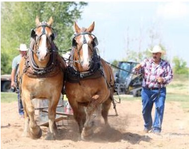 Randy Banga - Stockholm, SK (Cash & Barney)