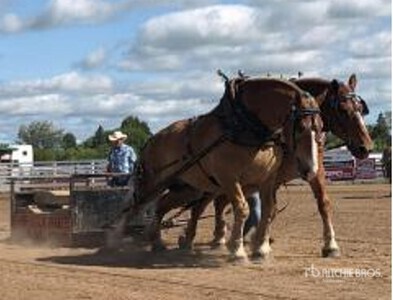 Randy Banga - Stockholm, SK (Bud & Doc)