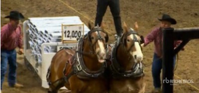 Ron & Ryan Sebastian - Lumsden, SK (Tom & Digger)