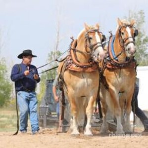Allan Tymiak - Pense, SK (Mark & Mitch)