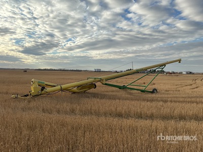 Bergen 10.75x60 10.75 in x 60 ft Swing Coclea grano