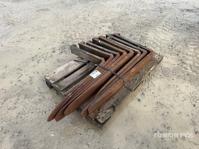 Qty of Forche per carrello elevatore