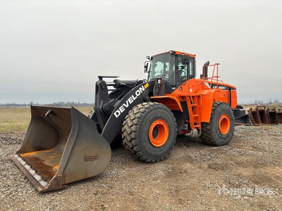 2018 Develon DL550-5 Radlader