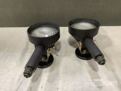 (12) Cavanaugh Government 1401182 Spotlights