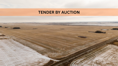 Bradwell, SK NW & NE 4-35-2-W3 320.39 +/- Acres on Title PID 119665749 and 119665750 Farmland
