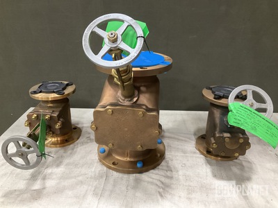 (10) Assorted Valves