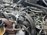 Engine with Fuel System