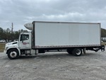 General Appearance with Paint