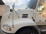General Appearance with Paint