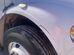 General Appearance with Paint