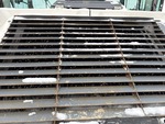 Engine with Radiator