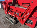 General Appearance with Paint