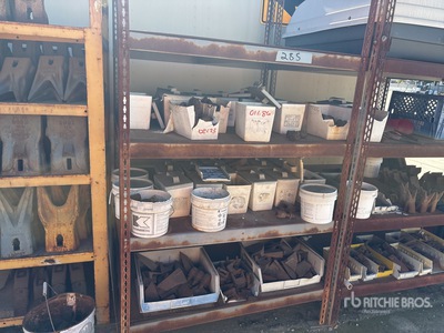 Quantity of Bullet Teeth