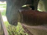 Underbody with Suspension Bushings