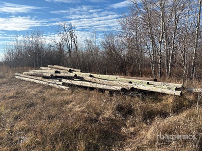 Quantity of Yard Poles