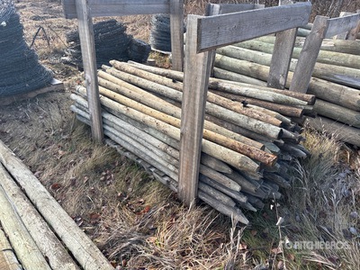 Quantity of (60) x 3 ft 3 in Fence Posts