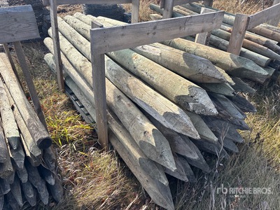 Quantity of (26) x 5 ft 5 in Fence Posts
