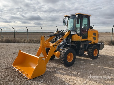 2025 BLANCHE TW36 Wheel Loader