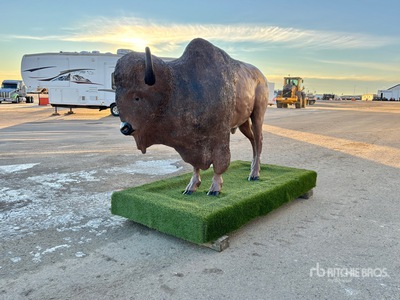 Bison その他 - 店舗 & 倉庫