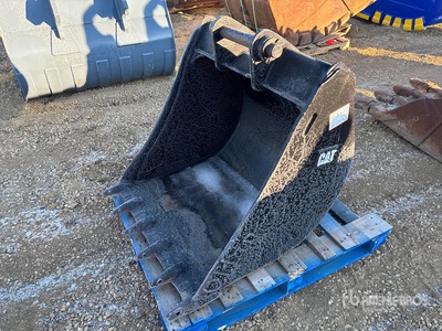 Cat 34 in Digging Excavator Bucket