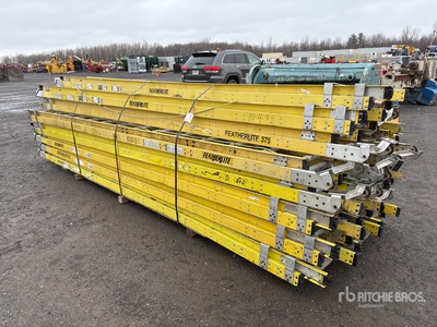 Quantity of (20) Escalera de mano