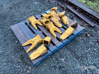 Quantity of (14) Cat Bucket Teeth