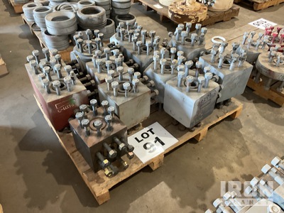 Quantity of Studded Tees