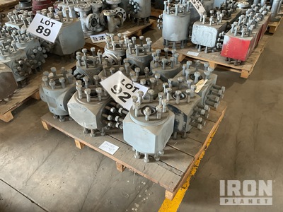 Quantity of Studded Tees