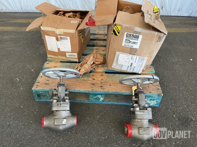 (2) SFC Valve 803-2177525-M8A1 Globe Valves