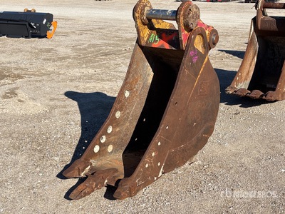 Cat 24 in Digging Excavator Bucket